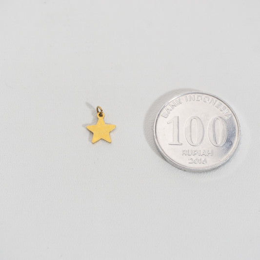 Tiny Plain Star Charm Stainless Steel PVD Gold Plated Liontin Bintang Kecil Hypoallergenic