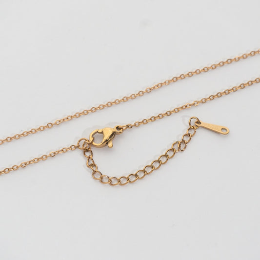 (41+5cm) Rosegold Rolo Chain Necklace Stainless Steel PVD Gold Plated Rantai Kalung Rolo Hypoallergenic