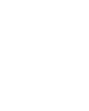 Extender