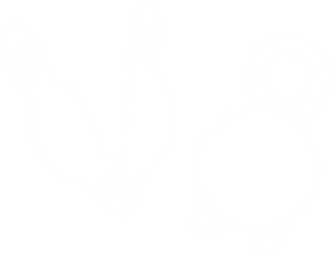 Stopper